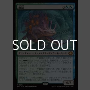 画像: 【日本語Foil】幽愁/Wistfulness