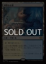 画像: 【日本語Foil】神聖なる泉/Hallowed Fountain