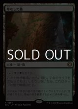 画像: 【日本語】草むした墓/Overgrown Tomb