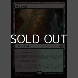 画像: 【日本語】草むした墓/Overgrown Tomb