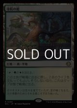 画像: 【日本語Foil】寺院の庭/Temple Garden