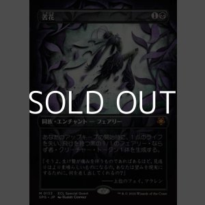 画像: ☆特殊枠【日本語】苦花/Bitterblossom