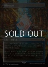 画像: ☆特殊枠【日本語Foil】神聖なる泉/Hallowed Fountain