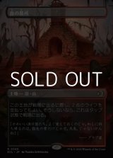 画像: ☆特殊枠【日本語Foil】血の墓所/Blood Crypt