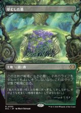 画像: ☆特殊枠【日本語】草むした墓/Overgrown Tomb