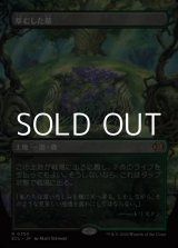 画像: ☆特殊枠【日本語Foil】草むした墓/Overgrown Tomb