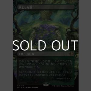 画像: ☆特殊枠【日本語Foil】草むした墓/Overgrown Tomb