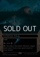 画像: ☆特殊枠【英語Foil】石化した原野/Petrified Field