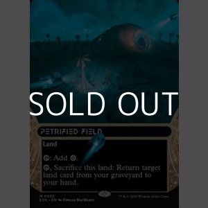 画像: ☆特殊枠【英語Foil】石化した原野/Petrified Field