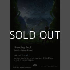 画像: ☆特殊枠【英語Foil】繁殖池/Breeding Pool