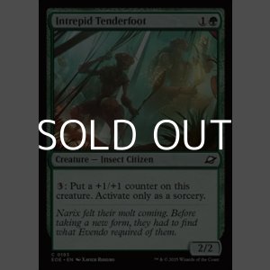 画像: 【英語Foil】恐れ知らずの新参虫/Intrepid Tenderfoot