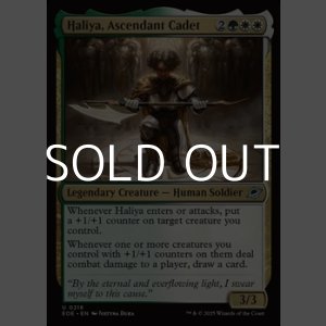 画像: 【英語Foil】頭角表す士官候補生、ハリーヤ/Haliya, Ascendant Cadet
