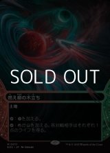 画像: ☆特殊枠【日本語Foil】燃え柳の木立ち/Grove of the Burnwillows