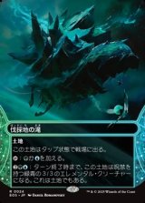 画像: ☆特殊枠【日本語】伐採地の滝/Lumbering Falls