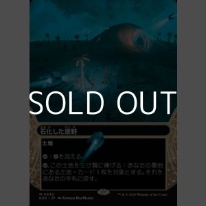 画像: ☆特殊枠【日本語Foil】石化した原野/Petrified Field