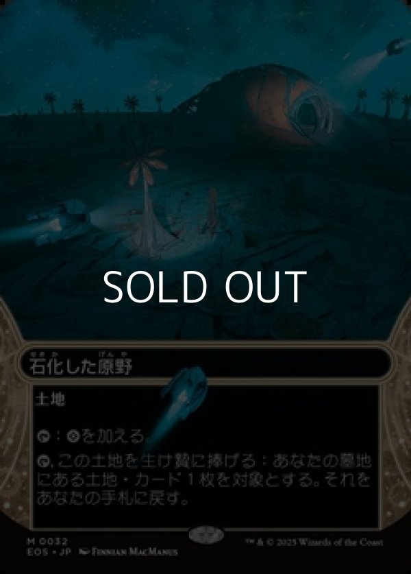 画像1: ☆特殊枠【日本語Foil】石化した原野/Petrified Field (1)