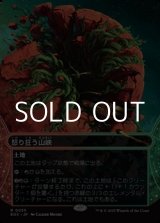 画像: ☆特殊枠【日本語Foil】怒り狂う山峡/Raging Ravine