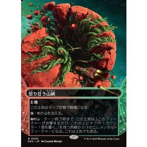 画像: ☆特殊枠【日本語】怒り狂う山峡/Raging Ravine