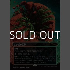 画像: ☆特殊枠【日本語Foil】怒り狂う山峡/Raging Ravine