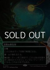 画像: ☆特殊枠【日本語Foil】活発な野生林/Stirring Wildwood