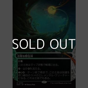 画像: ☆特殊枠【日本語Foil】活発な野生林/Stirring Wildwood