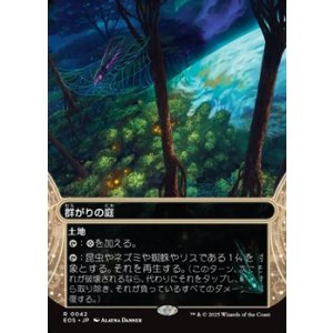画像: ☆特殊枠【日本語】群がりの庭/Swarmyard