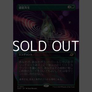 画像: ☆特殊枠【日本語Foil】惑星共生/Terrasymbiosis