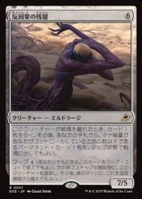 画像: 【日本語】反因果の残留/Anticausal Vestige