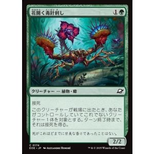 画像: 【日本語】花開く毒針刺し/Blooming Stinger