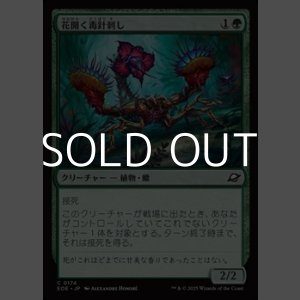 画像: 【日本語Foil】花開く毒針刺し/Blooming Stinger