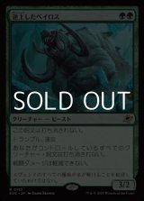 画像: 【日本語Foil】逆上したベイロス/Frenzied Baloth
