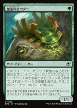 画像: 【日本語】血液共生のダニ/Hemosymbic Mite