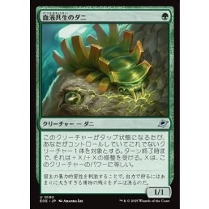 画像: 【日本語】血液共生のダニ/Hemosymbic Mite