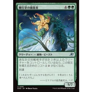 画像: 【日本語】鞭打草の捕食者/Lashwhip Predator
