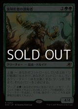 画像: 【日本語Foil】強靭形態の調和者/Mightform Harmonizer