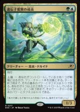 画像: 【日本語】遺伝子変異の成虫/Genemorph Imago