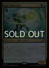 画像: 【日本語Foil】遺伝子変異の成虫/Genemorph Imago