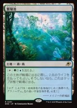 画像: 【日本語Foil】繁殖池/Breeding Pool