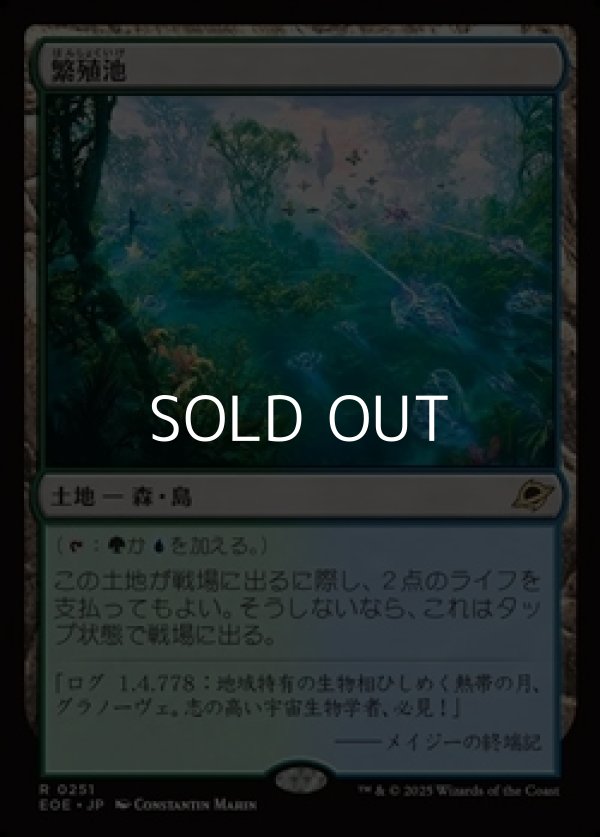 画像1: 【日本語】繁殖池/Breeding Pool (1)