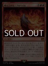 画像: 【日本語Foil】燃え上がるニブルヘイム/Nibelheim Aflame
