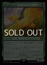 画像: 【日本語Foil】旅するチョコボ/Traveling Chocobo