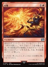 画像: 【日本語】自爆/Self-Destruct