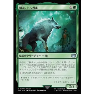 画像: 【日本語Foil】盟友、トルガル/Torgal, A Fine Hound