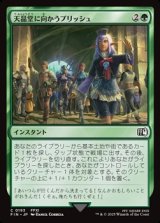画像: 【日本語】天晶堂に向かうプリッシュ/Prishe's Wanderings