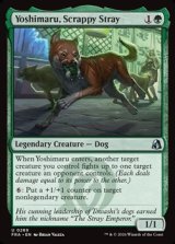 画像: 【英語】争い好きの野良犬、義丸/Yoshimaru, Scrappy Stray