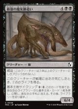 画像: 【日本語Foil】最強の魔女跡追い/Apex Witchstalker