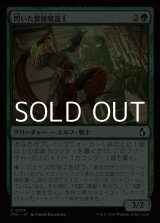 画像: 【日本語Foil】閃いた繋操魔道士/Inspired Tethermage
