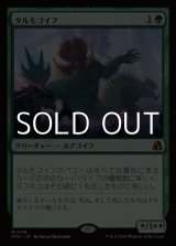 画像: 【日本語】タルモゴイフ/Tarmogoyf