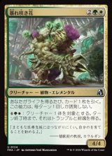 画像: 【日本語】暴れ咲き花/Bloombrute