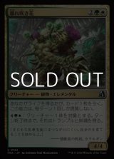 画像: 【日本語Foil】暴れ咲き花/Bloombrute